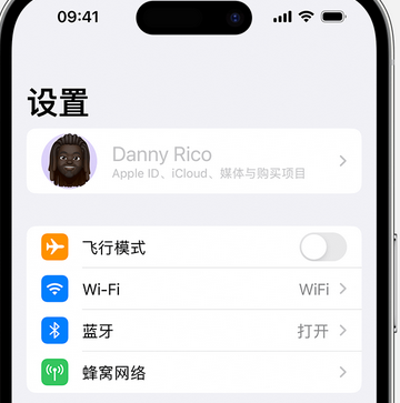 旌阳appleID维修服务iPhone设置中Apple ID显示为灰色无法使用 