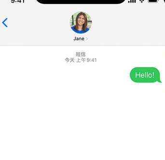 旌阳apple维修iPhone上无法正常发送iMessage信息