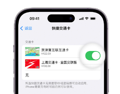 旌阳apple维修点分享iPhone上更换Apple Pay快捷交通卡手绘卡面 