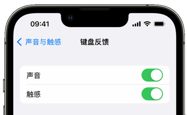 旌阳苹果手机维修分享iPhone 14触感键盘使用方法 