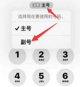 旌阳苹果14维修店分享iPhone 14 Pro Max使用副卡打电话的方法 