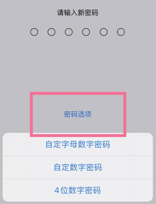 旌阳苹果14维修分享iPhone 14plus设置密码的方法 