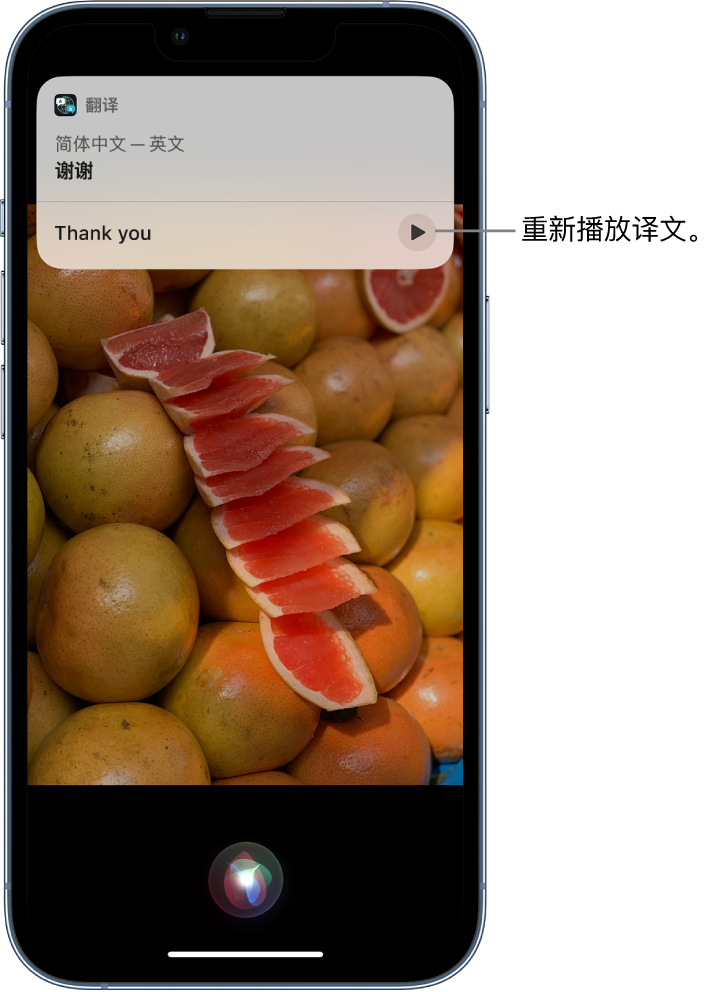 旌阳苹果14维修分享 iPhone 14 机型中使用 Siri：了解 Siri 能帮你做什么 