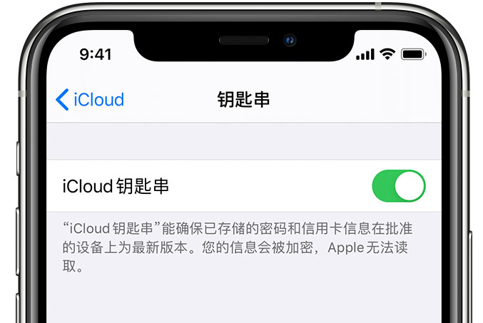 旌阳苹果手机维修分享在 iPhone 上开启 iCloud 钥匙串之后会储存哪些信息 