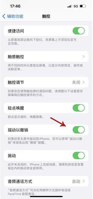 旌阳苹果手机维修分享iPhone手机如何设置摇一摇删除文字 