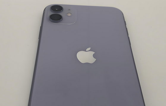 旌阳苹果11系统维修分享iPhone11手机系统崩溃无法开机如何解决