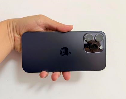 旌阳苹果维修点分享iPhone 14 Pro Max发烫多重诱因剖析 